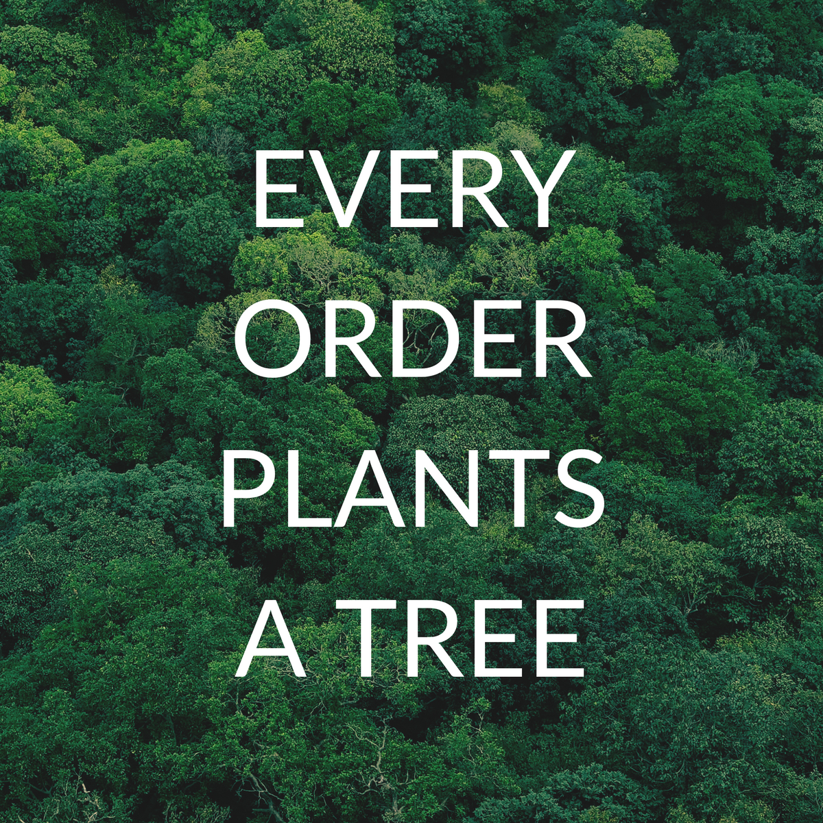 A dense green forest canopy background with large white text centered on the image reading, 'EVERY ORDER PLANTS A TREE.'
