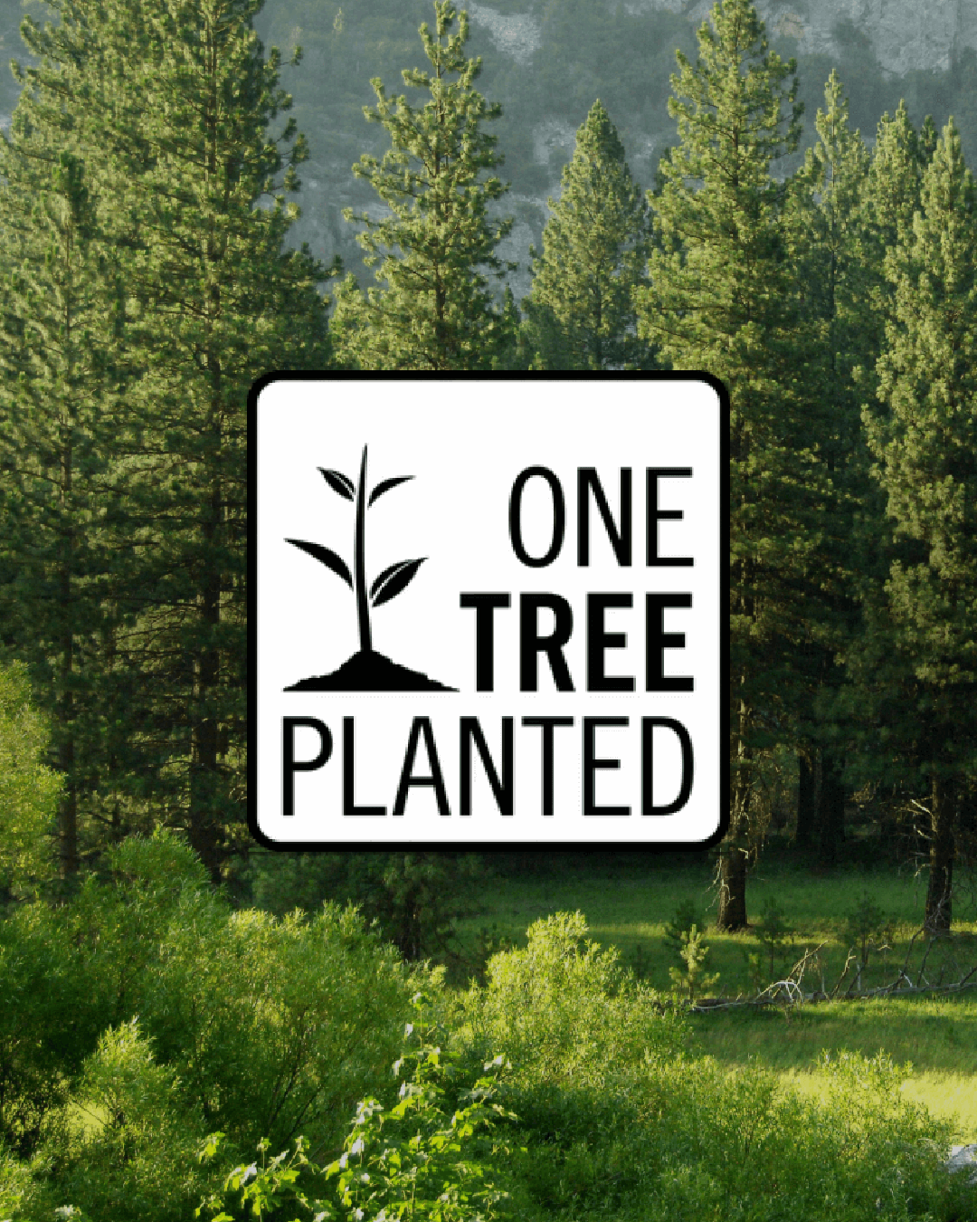 Plant One Tree